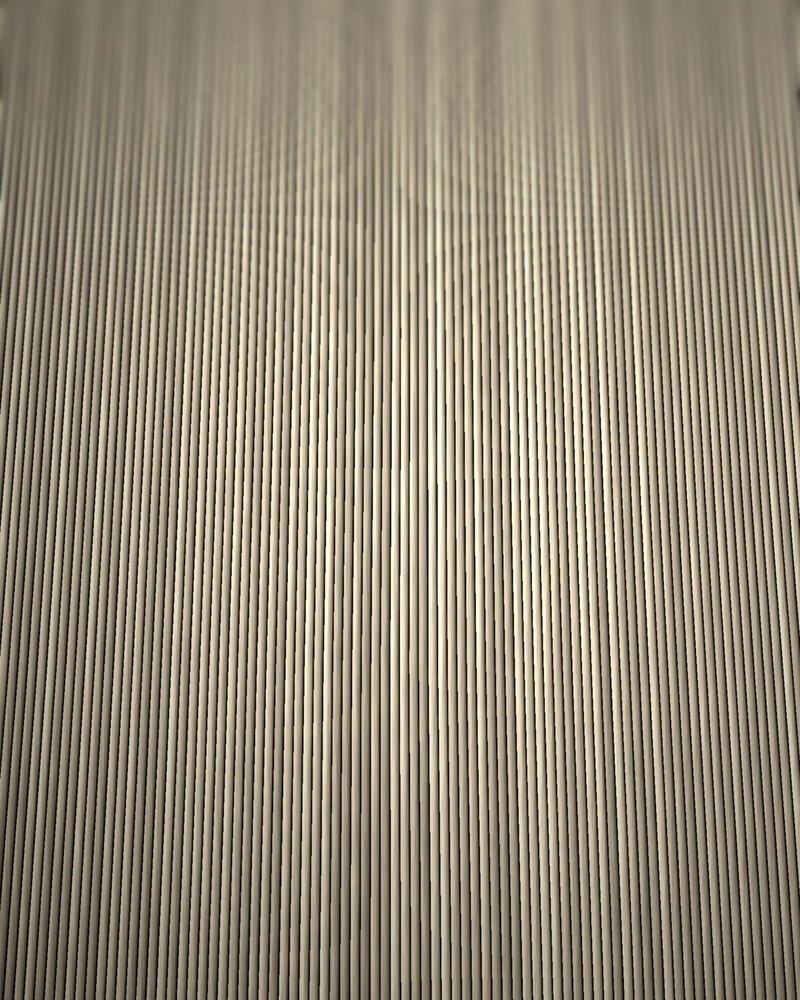 A dense sheet of ecru warp ends running off the beam, sharp in the middle and softening into the distance.