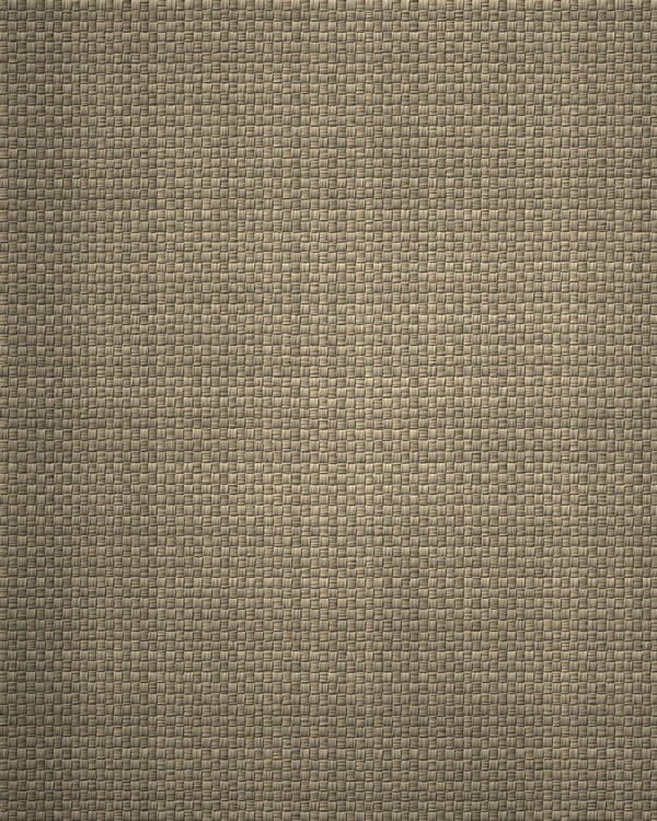 Heavy natural cotton canvas with thick, slubby yarn in plain weave.
