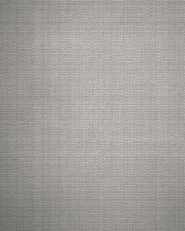 Fine bleached cotton poplin in plain weave, lit to show the even grain.
